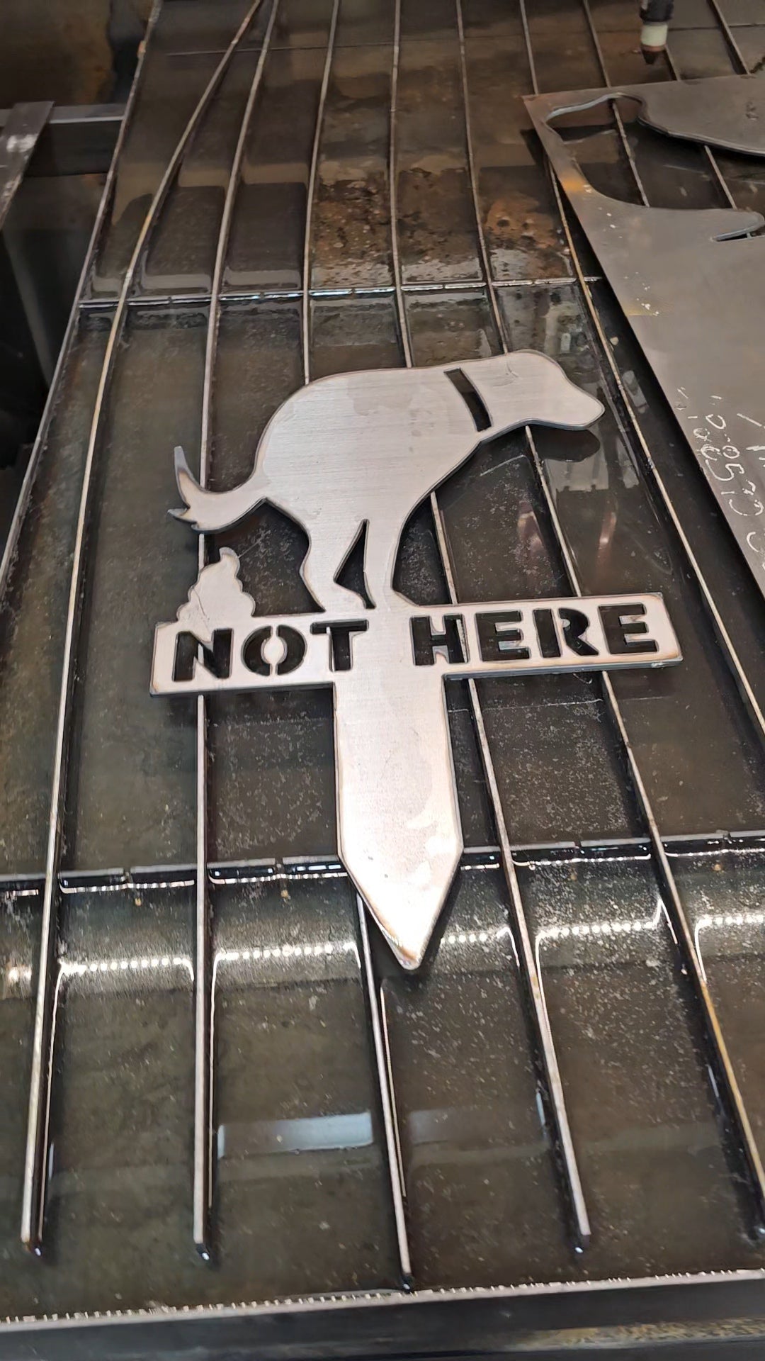 No Dog Poop Metal Sign for Front Yard - Design Concepts Chi