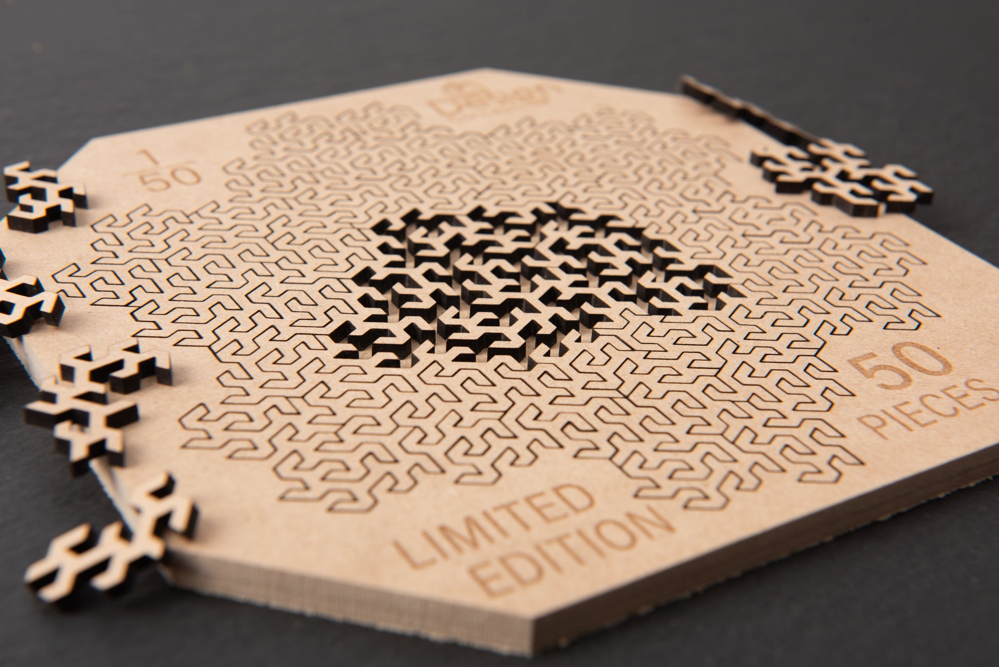 Fractal Jigsaw Puzzle (50-Piece LIMITED EDITION) - Design Concepts Chi